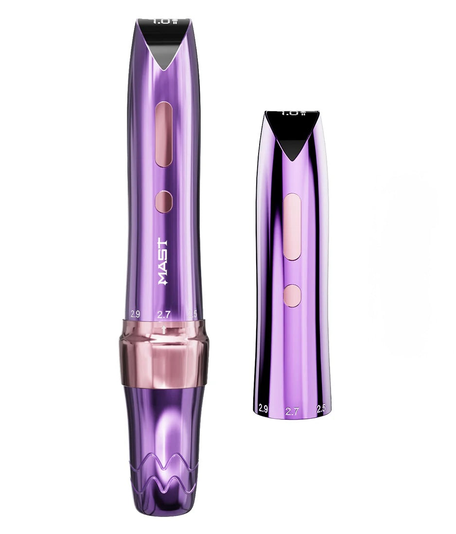 Mast p60 + 2 batterij