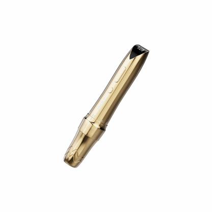 Mast P60